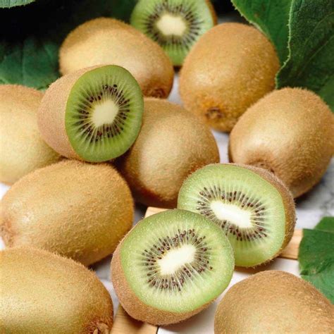 Kiwi Fruit Seeds