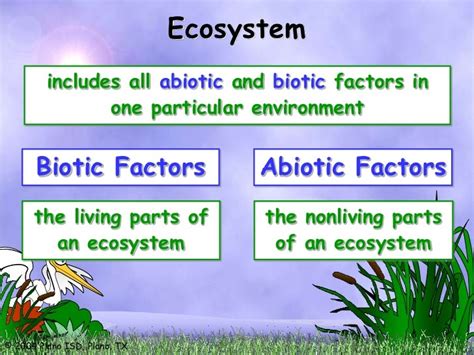 Ecosystems, biotic and abiotic factors