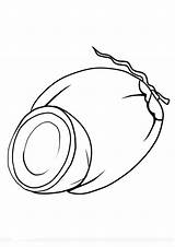 Coloring Pages  Printable Coconut Sheet For Kids sketch template