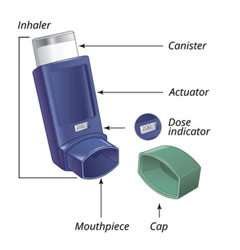 Levalbuterol Albuterol: Differences, Similarities, And, 43% OFF