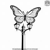 Butterfly Near A Lamppost Coloring Pages sketch template