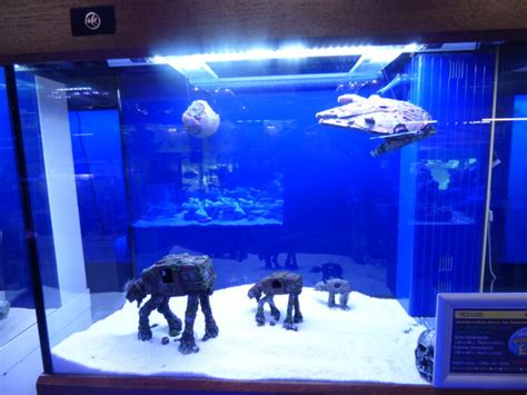 Top Star Wars Fish Tank Decorations - The Kitty Expert