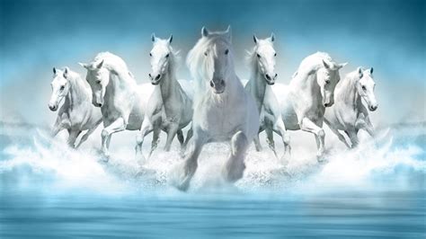 Download Full 4K HD Wallpapers of 7 Horse Images - Amazing Collection!