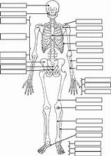 Medical Coloring Pages At GetColoringscom  Free Printable Colorings sketch template