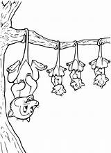 Funny Opossum Coloring Page  Free Printable Pages For Kids sketch template