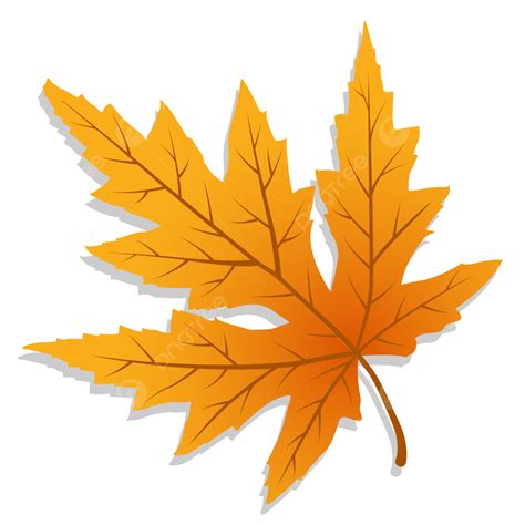 Aesthetic Autumn Leaves Vector, Autumn, Autumn Leaves, Leaf PNG and Vector with Transparent ...