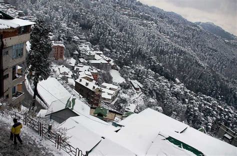 Everywhere Ice & Everything Looks Nice! Checkout The Best Snowfalls In Shimla