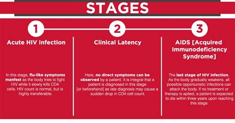 Hiv Infection Stages