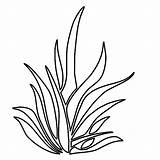 Pin On Grass Coloring Pages sketch template
