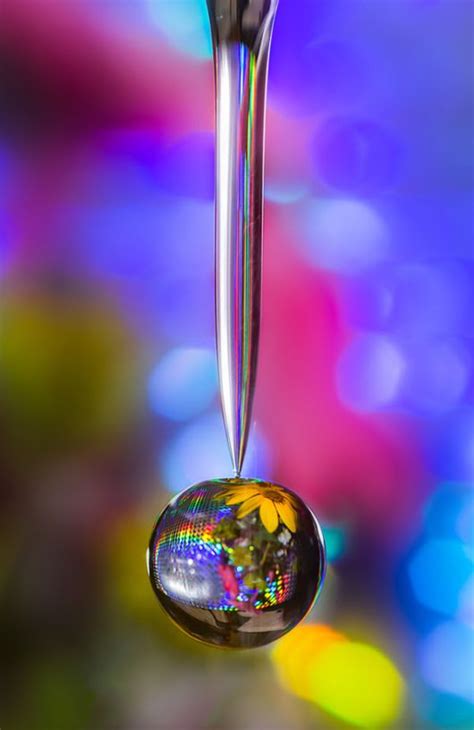 Beautiful Water Drop Reflection Photography | Funzug.com