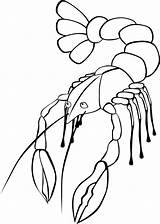 Realistic And Cartoon Lobster Coloring Sheets For Children  Pages sketch template