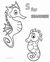 Printable Seahorse Coloring Pages For Kids sketch template