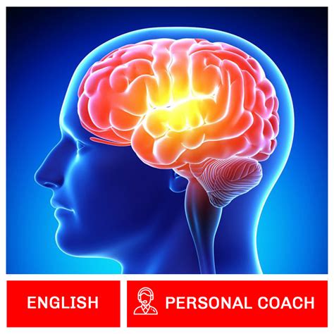 Learn Anything Faster Super Brain Online course with personal coach ...