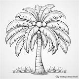 Palm Tree Coloring Pages  Free & Printable sketch template