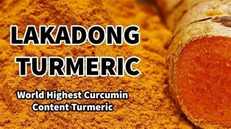 Lakadong Turmeric & Turmeric Powder from Jowai