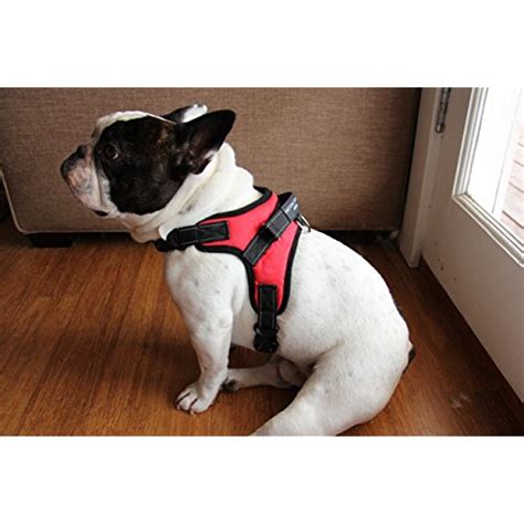 Service Dog Vest Harness with EMOTIONAL SUPPORT Patch Emotional Support Animal Vest (L - Chest ...