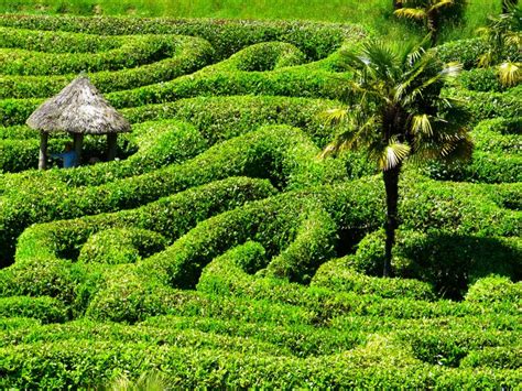 Glendurgan Garden - Country View Cottages