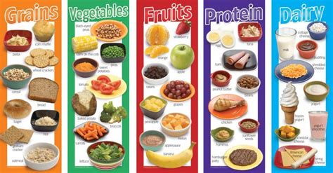 Food Groups Poster Set: Grains, Vegetables, Fruits, Protein, Dairy