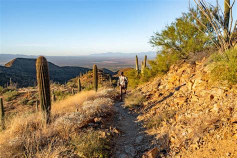 10 INCREDIBLE Saguaro National Park Hikes (Photos+Video)