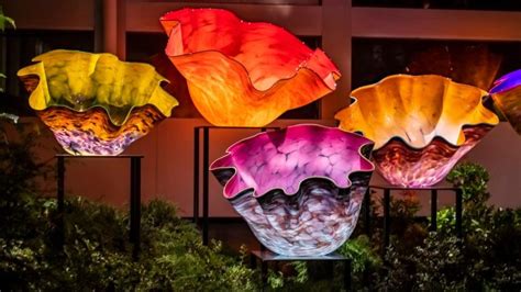 Two ways to see Dale Chihuly artwork and how living on a kibbutz changed his life - St. Louis ...