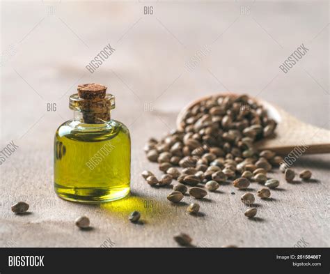 Hemp Seeds Hemp Oil On Image & Photo (Free Trial) | Bigstock