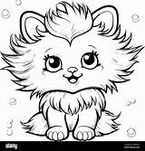 Fluffy Cat coloring Pages Stock Vector Images  Alamy sketch template