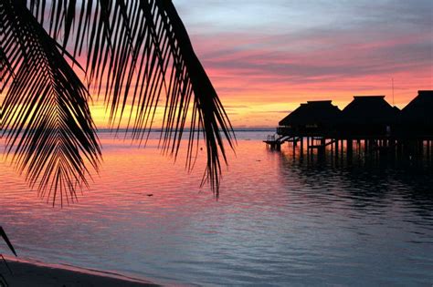 I see your Bora Bora at night and raise you Moorea at sunset. | Dream vacations, Bora bora, Moorea