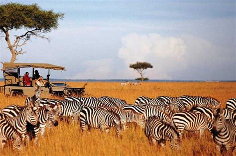 Why Visiting Maasai Mara Is About To Get Easier - See Africa Today