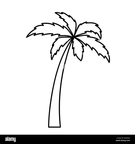 palm tree simple icon pictogram outline vector illustration Stock Vector Image & Art - Alamy