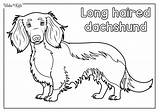 Dachshund Coloring Pages Free Printable PDFs  WakeTheKids sketch template