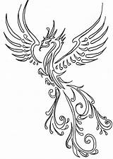 Phoenix Tattoo Coloring Pages Sketch Page sketch template