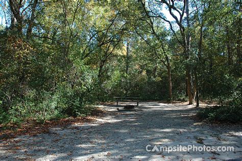 Carolina Beach State Park - Campsite Photos, Campsite Availability Alerts