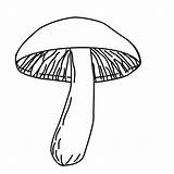Fungi Coloring Page Pages sketch template