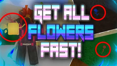 Blox Fruits Flower Locations - TODORBX 2024