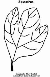 DNR Kids Learning & Activities Coloring sketch template