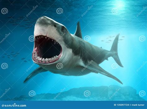 Great White Shark Scene 3D Illustration Stock Illustration - Illustration of scene, mouth: 135097724