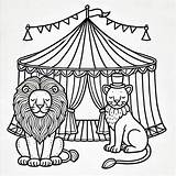 Circus Lions coloring Page  Download Print Or Color Online For Free sketch template