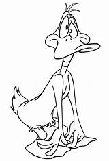 Daffy Duck Coloring Sheets Pages sketch template