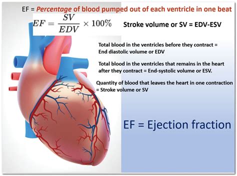 Ejection fraction of the heart: It is not just a number - CARDIOLOGIST IN HYDERABAD FOR ECG, 2D ...