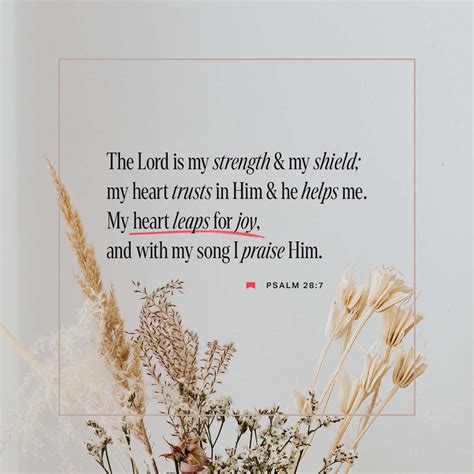 Psalms 28:7 The LORD is my strength and my shield; My heart trusted in ...