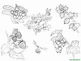 Online coloring Pages Coloring Page Berries berries Download Print  sketch template