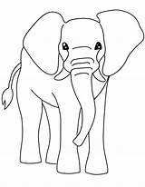 Free Printable Elephant Coloring Pages For Kids sketch template
