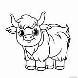 Cute Baby Yak Coloring Page 56154 44415 sketch template