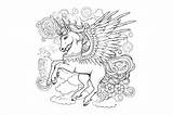 Pegasus Coloring Pages sketch template