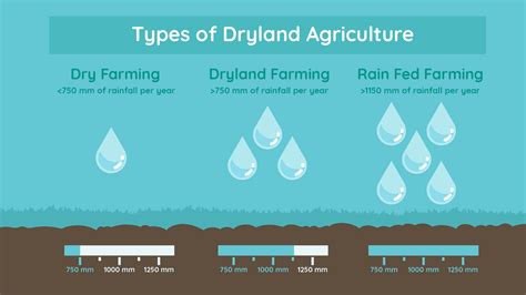 What is Dryland Farming - Know Everything about it