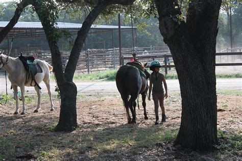 Hunters Chase Farms - HORSES FOR SALE IN TEXAS, RIDING CAMPS, SUMMER ...