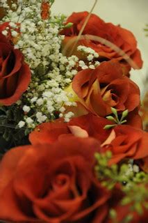 Flower Centerpieces | Alex and Ashley Rivera's wedding | Brittany Bychkowski | Flickr