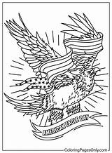 American Eagle Day Coloring Pages  Free Printable PDF & Online sketch template