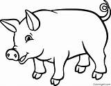 Simple Pig Coloring Pages sketch template
