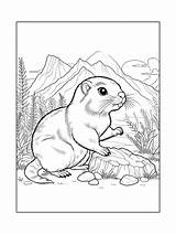 Gopher Coloring Pages sketch template